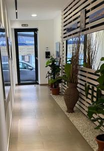 ArguineguínPURA VIDA的办公室走廊上设有盆栽和玻璃门