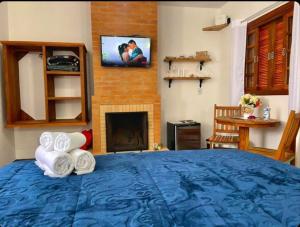 蒙特韦尔迪Refugio Victoria的一间卧室配有一张蓝色的床、毛巾和壁炉
