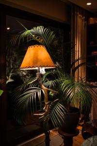 布拉索夫Le Petit Chalet的坐在植物旁边的桌子上的灯