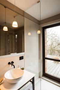 布拉索夫Le Petit Chalet的一间带水槽和玻璃淋浴的浴室