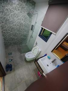 古晋Aell Homestay Vivacity的带淋浴、卫生间和盥洗盆的浴室