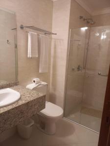 蓬塔格罗萨Barbur Center Hotel的带淋浴、卫生间和盥洗盆的浴室