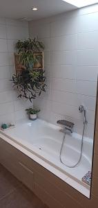 安特卫普LodgeRivierenhof的带浴缸和淋浴的浴室