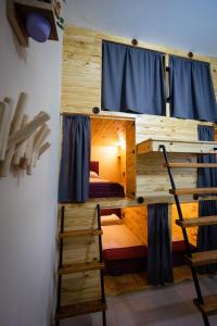 萨尔塔LEAD Pods Hostel的带梯子的客房内的双层床