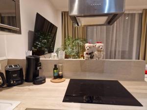 维勒蒙布勒By nuit-parisienne : Superbe appartement avec SPA et terrasse privée的两只泰迪熊坐在厨房台面上