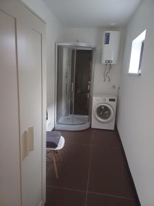 马鲁佩Lambertu ielas rezidence的带淋浴和洗衣机的浴室