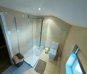 利物浦里士满德公寓的带淋浴和卫生间的浴室