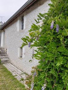 Chambourg-sur-IndreCharmante petite maison 2 personnes的前面有灌木的白色砖砌建筑