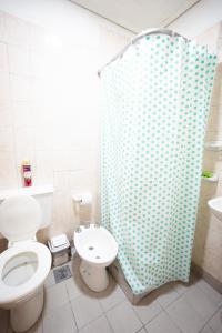萨尔塔LEAD Pods Hostel的一间带卫生间和淋浴帘的浴室
