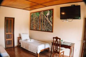 新艾朗Amazônia ParkSuítes的一间卧室配有一张床、一张书桌和一台电视。