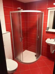 莫德拉瓦Apartmány v Chalupě nad Modravou的红色的浴室设有淋浴和卫生间。