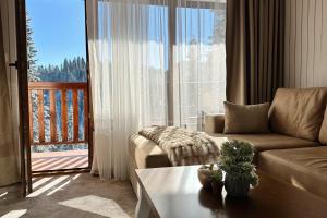 潘波洛沃ELEA Apartment Mountain Lodge Pamporovo的带沙发和大窗户的客厅