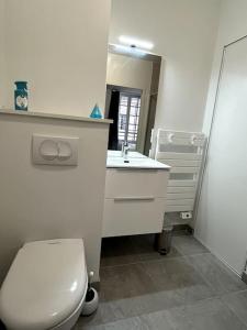奥尔良Le Bijou du Martroi的一间带卫生间、水槽和镜子的浴室