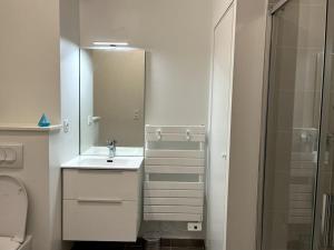 奥尔良Le Bijou du Martroi的白色的浴室设有水槽和镜子