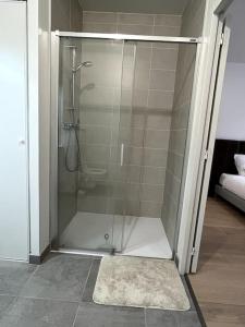 奥尔良Le Bijou du Martroi的浴室里设有玻璃门淋浴