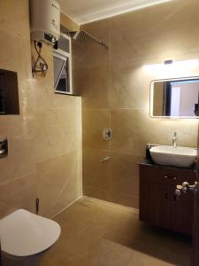 Vasco Da GamaMYKA SD ZANITA HEIGHTS的浴室配有卫生间、盥洗盆和淋浴。
