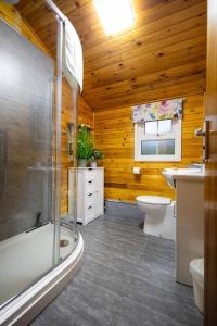 FfestiniogRural Log Cabin Retreat near Coed y Brenin by Seren Short Stays的带浴缸、卫生间和盥洗盆的浴室