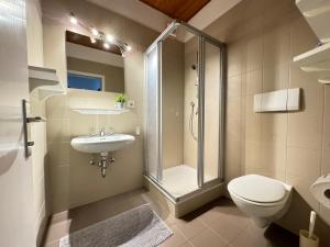 科尔塔恰Ferienwohnungen Palma的带淋浴、卫生间和盥洗盆的浴室