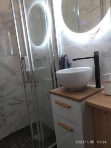 鲁昂Studio N1 plein centre ville的带淋浴和白色盥洗盆的浴室