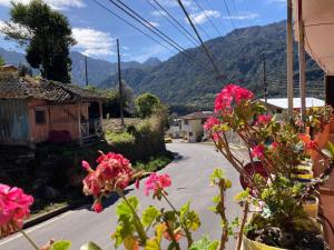 帕帕亚克塔La Quiteñita Papallacta的享有街道和山脉的景色