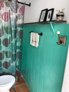 伯迪亚哥SURFuncional Guest House的一间带卫生间的浴室和绿色瓷砖墙