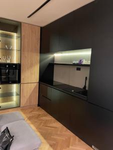 斯特鲁米察Gray Apartments的厨房配有黑色橱柜和不锈钢烤箱