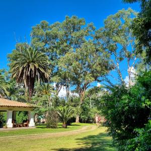 萨尔塔波萨达普拉杜酒店的一座种有树木和房屋的花园