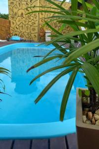 邦比尼亚斯Recanto dos pássaros的蓝色的游泳池,旁边是植物