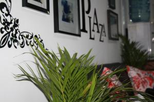BelalcázarHotel Balcón Plaza的墙上挂着照片的房间里盆栽植物