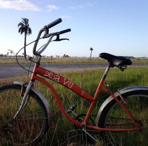 巴拉德瓦利扎斯Déja vú的停在草地上的一辆红色自行车