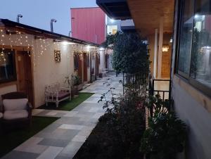 金特罗HOSTAL LA MODERNA的一座带灯和植物的建筑的庭院