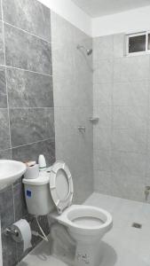 SoledadApartamento como en casa的一间带卫生间和水槽的浴室