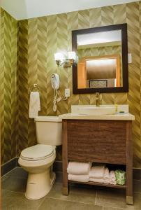 尼亚加拉时尚名品折扣店阿瑞雅汽车旅馆的一间浴室