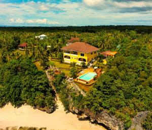 卡莫特斯群岛Camotes Serenity的享有带游泳池的房屋的空中景致