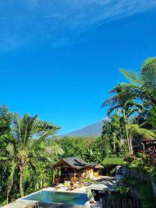 特特巴图特特巴图萨玛先马简易别墅的享有带游泳池和棕榈树的度假村的景致