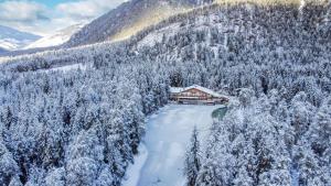 圣维吉利奥Hotel Lago della Creta的雪覆盖的山中小屋