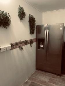 WaterfordYnY Guest house的厨房配有不锈钢冰箱和墙上的植物