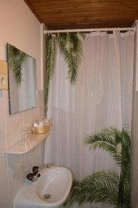 旧天鹅堡加尔尼施罗斯布里克酒店的浴室设有水槽和植物淋浴