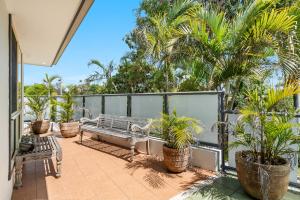 拜伦湾弗朗什海风公寓的阳台种有长凳和棕榈树