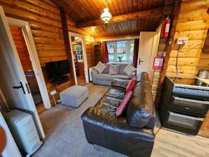 特兹西尼德Cosy 2 bedroom Log Cabin in Snowdonia Cabin151的小屋内带真皮沙发的客厅