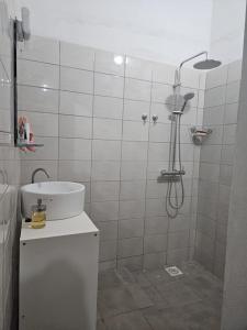 BaguidaVilla SE2 27的带淋浴和盥洗盆的浴室