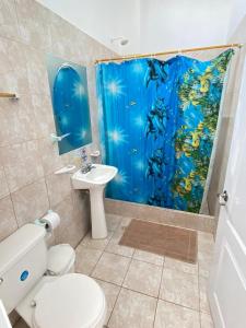 比亚米尔港HOSPEDAJE DELFIN AZUL的一间带卫生间和淋浴帘的浴室