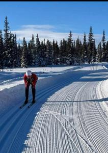 SaxnäsKultsjögården-Saxnäs- Marsfjäll 10的一个人在雪覆盖的斜坡上滑雪
