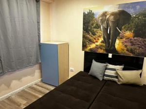 索非亚Апартамент Миели的墙上挂着大象画的房间