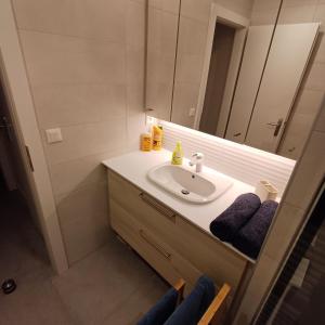 万泽内姆Les vignobles d'Alsace的一间带水槽和镜子的浴室