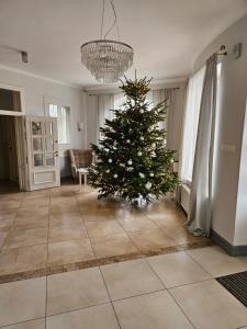 古宾Hotel Onyx的客厅中间的圣诞树