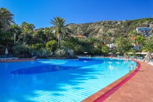 下布雷尼亚圣豪尔赫庄园酒店的一座棕榈树环绕的游泳池,一座山 ⁇ 