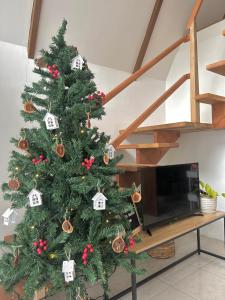 圣胡安Casa Maria at Bigang Munti的客厅里的一个圣诞树,旁边是电视