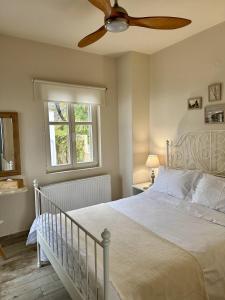 扎戈拉Luxury Villa at Pelion- Ruby的一间卧室配有一张带吊扇的床
