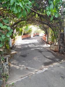 TamaimoWinter Wonderland Villa的一条有路的街道上的拱门